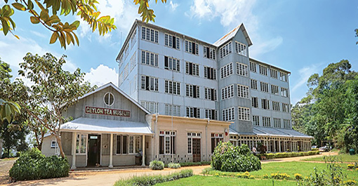 Ceylon Tea Museum is located in the former Hanthana Tea Factory, Kandy