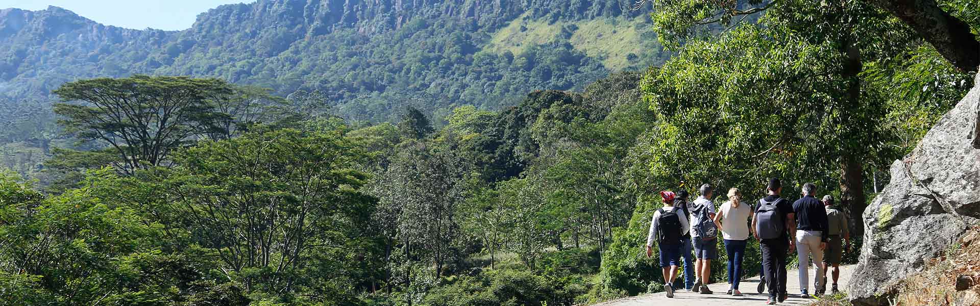 Hiking the Pekoe Trail in Kandy