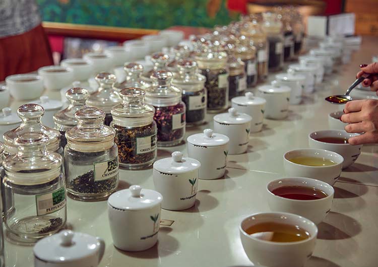 Tea tasting at the Loolkandura Tea factory
