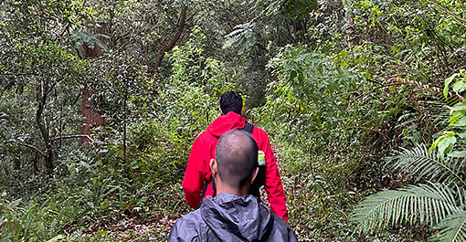 Udawattakele Forest Reserve a historic forest reserve on a hill ridge in the city of Kandy