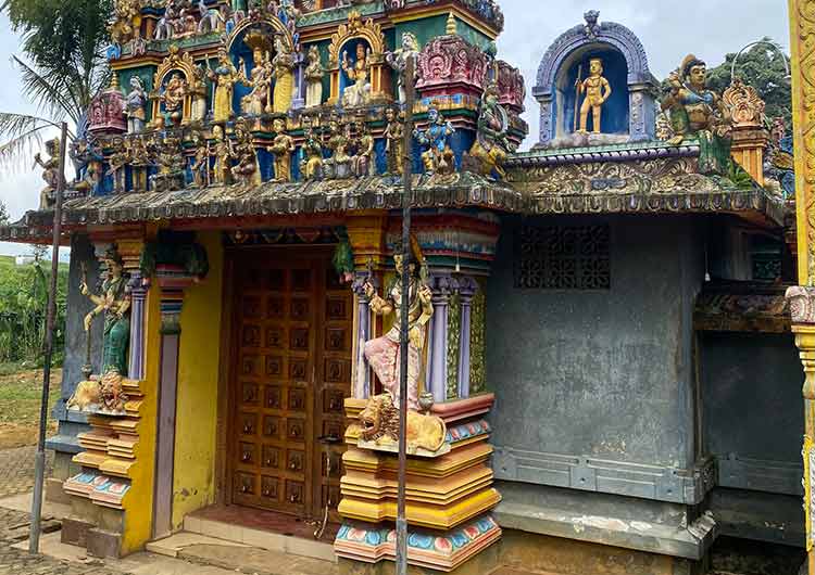 Visit temples/kovils